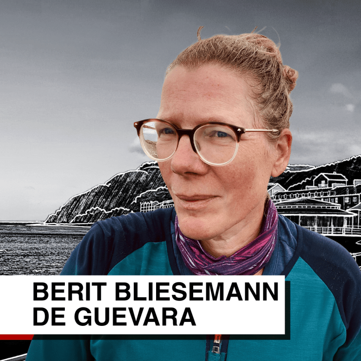 Berit Bliesemann de Guevara